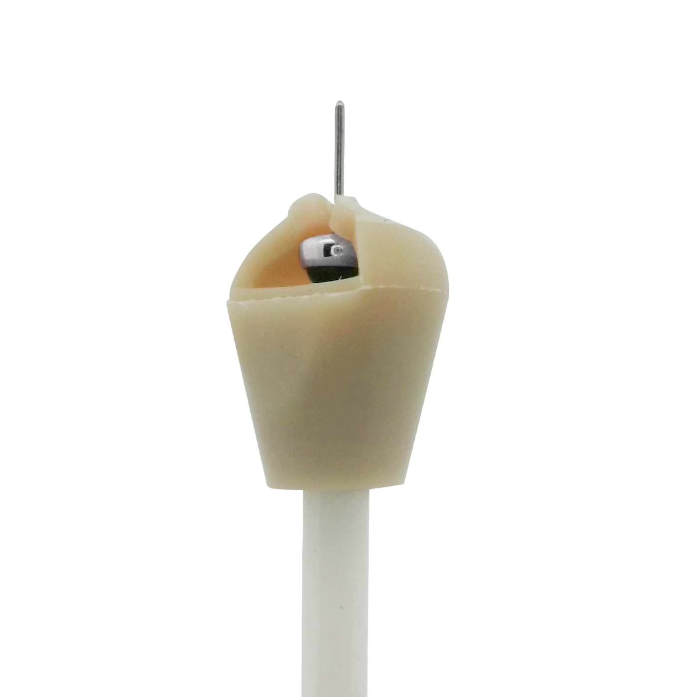 Earth Series 🌱 Large Flat Bead Changer (Box of 50)