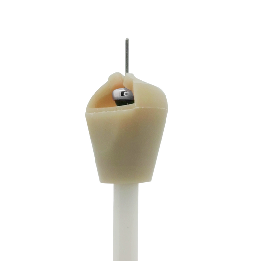 Earth Series 🌱 Large Flat Bead Changer (Box of 50)